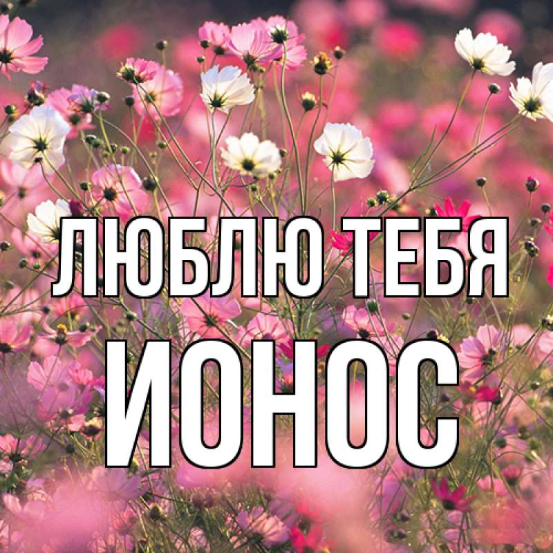 Картинка Люблю тебя, Ионос