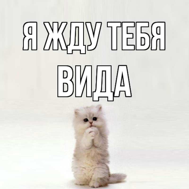 Открытка с именем, Вида, Я жду тебя