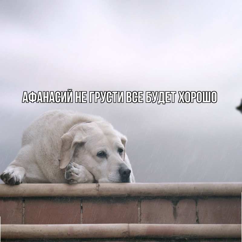 Картинка Не грусти, все будет хорошо, Афанасий