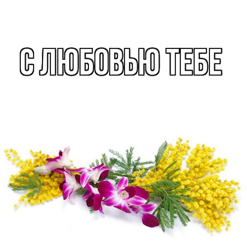 Картинка Люблю тебя, Ева