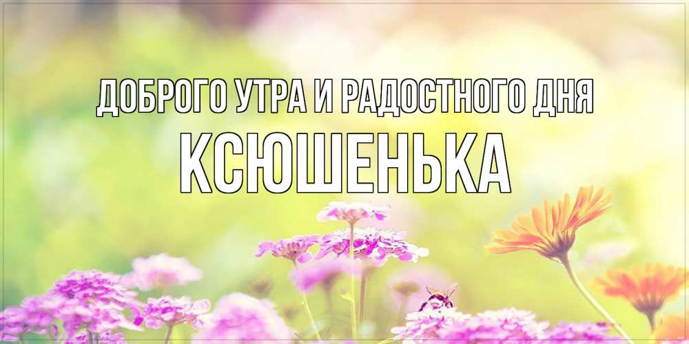 Открытка на каждый день с именем, Ксюшенька Доброго утра и радостного дня красивая открытка с летней темой Прикольная открытка с пожеланием онлайн скачать бесплатно 
