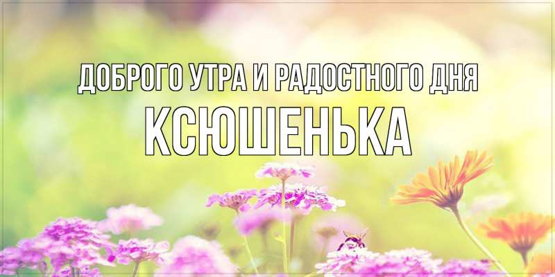 Картинка Доброго утра и радостного дня, Ксюшенька