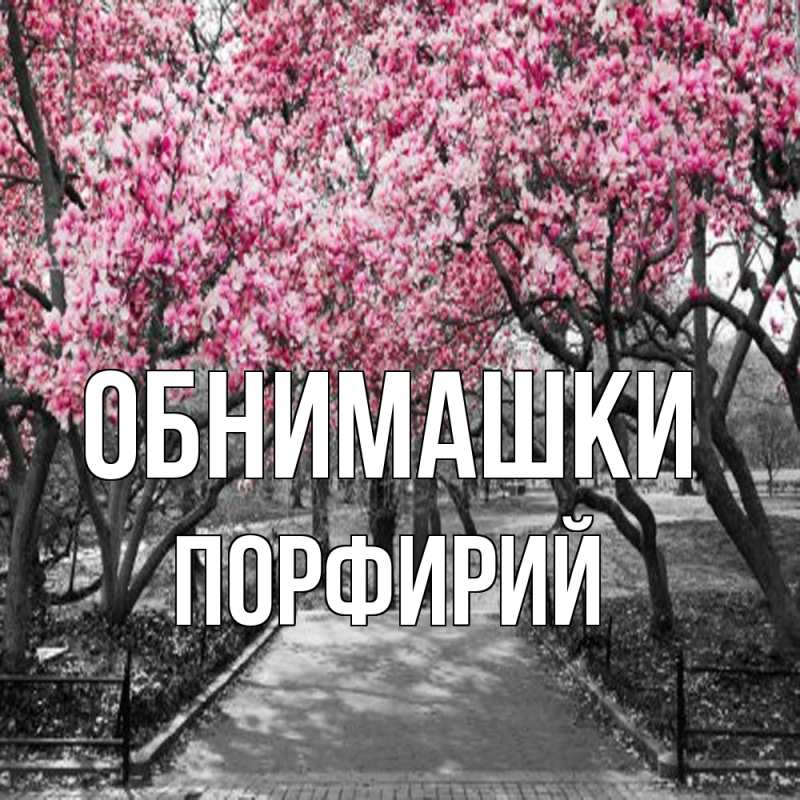 Картинка Обнимашки, Порфирий