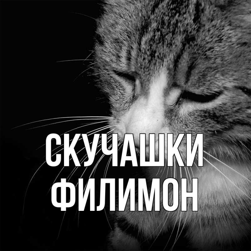 Картинка Скучашки, Филимон