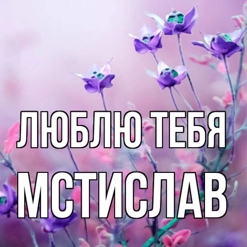 Картинка Люблю тебя, Мстислав