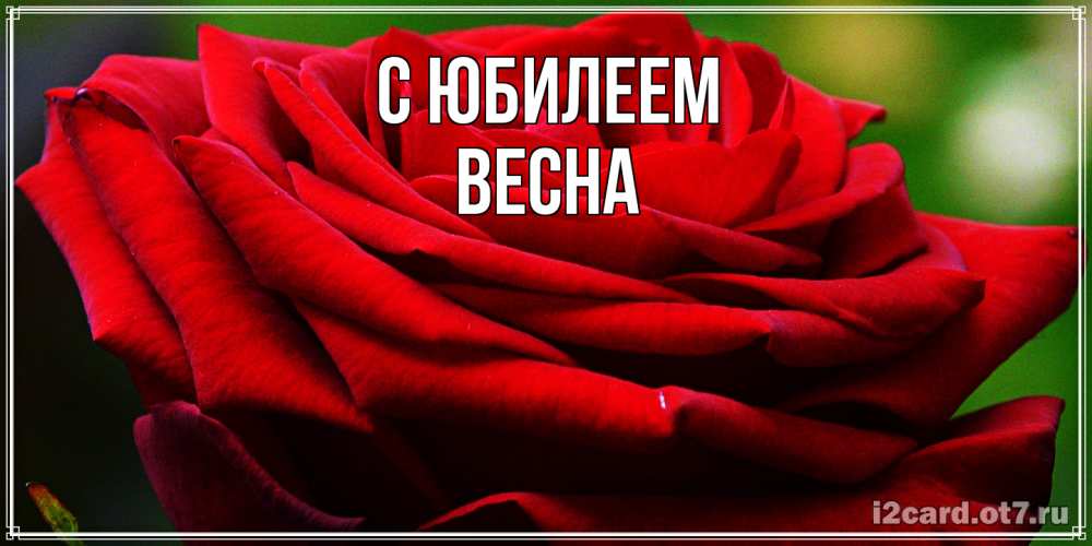 Открытка на каждый день с именем, Весна C юбилеем розочка очень красивая Прикольная открытка с пожеланием онлайн скачать бесплатно 