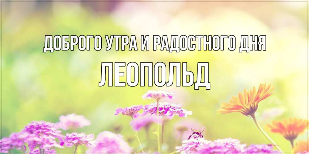 Открытка на каждый день с именем, Леопольд Доброго утра и радостного дня красивая открытка с летней темой Прикольная открытка с пожеланием онлайн скачать бесплатно 