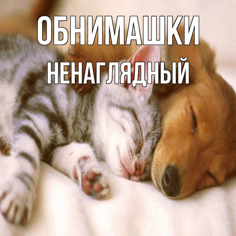 Картинка Обнимашки, Ненаглядный