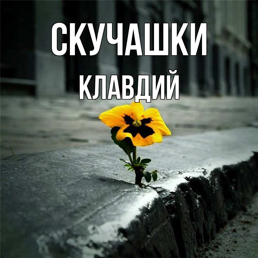 Открытка на каждый день с именем, Клавдий Скучашки надеюсь будет лучше Прикольная открытка с пожеланием онлайн скачать бесплатно 