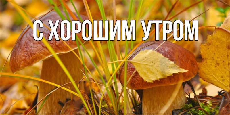 Картинка С хорошим утром, 