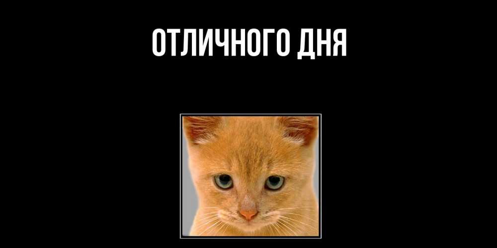 Открытка на каждый день с именем, Исай Скучашки открытки рыжий котенок скучает по тебе Прикольная открытка с пожеланием онлайн скачать бесплатно 