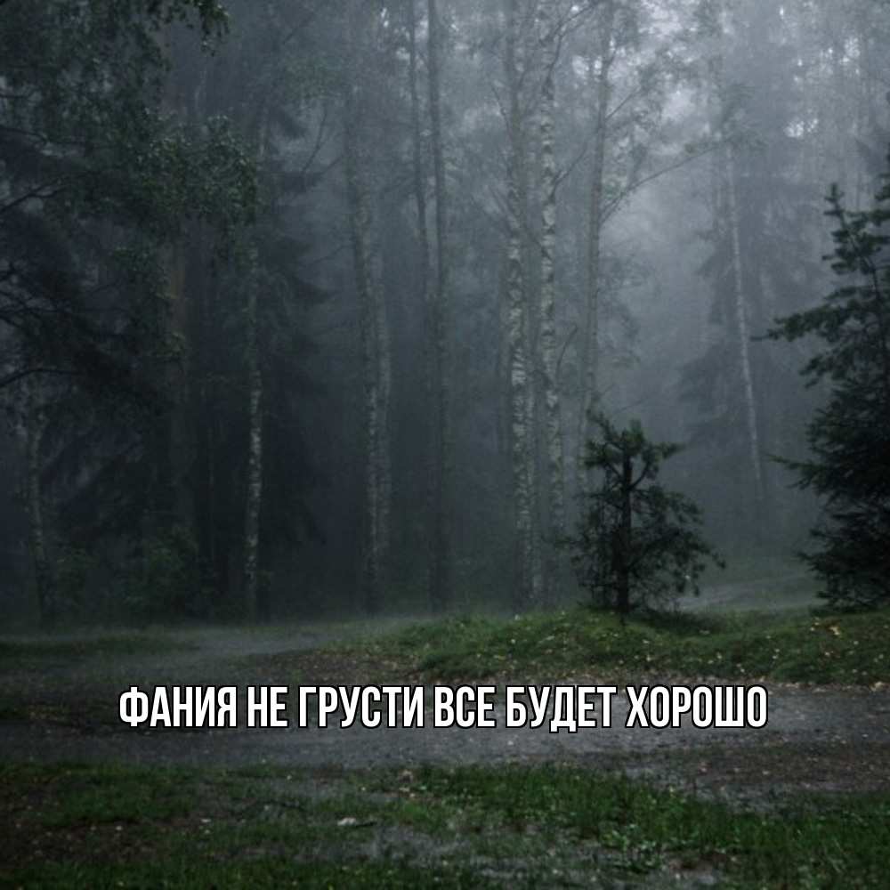 Открытка на каждый день с именем, Фания Не грусти все будет хорошо осень Прикольная открытка с пожеланием онлайн скачать бесплатно 