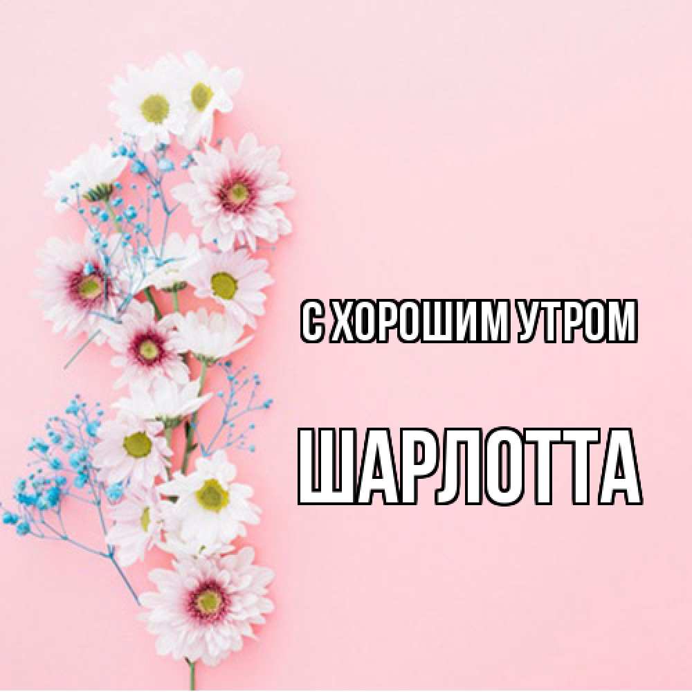Открытка на каждый день с именем, Шарлотта С хорошим утром цветы с подписью Прикольная открытка с пожеланием онлайн скачать бесплатно 