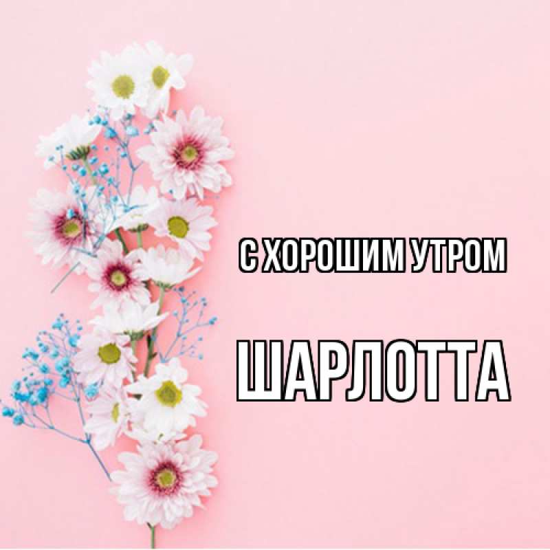 Картинка С хорошим утром, Шарлотта