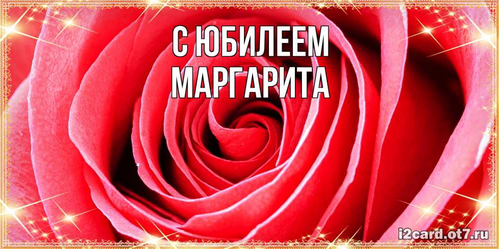 Открытка на каждый день с именем, Маргарита C юбилеем розовая роза очень крупный бутон Прикольная открытка с пожеланием онлайн скачать бесплатно 