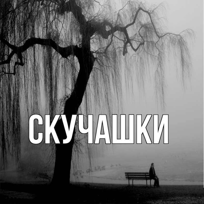 Картинка Скучашки, 