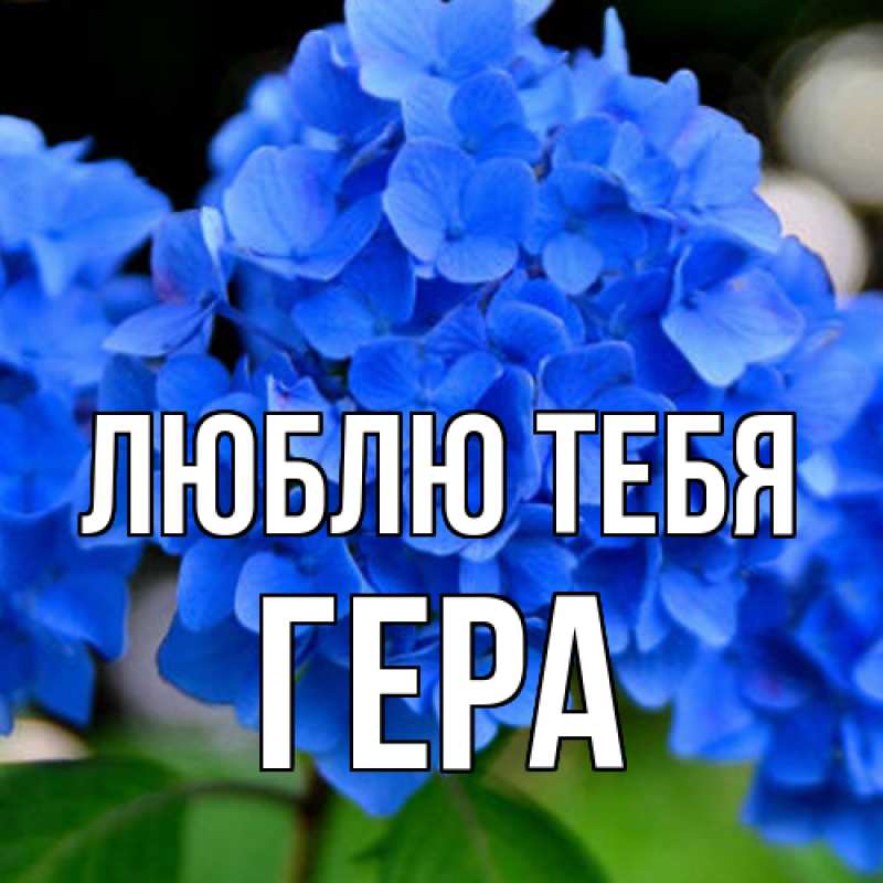 Открытка с именем, Гера, Люблю тебя