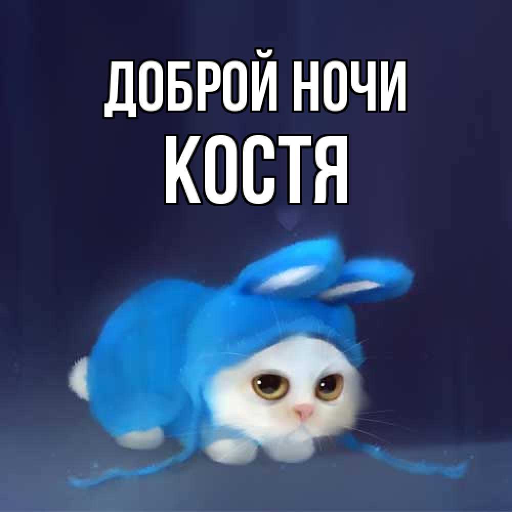 Открытка на каждый день с именем, Костя Доброй ночи кот в голубом костюме кролика с ушками Прикольная открытка с пожеланием онлайн скачать бесплатно 