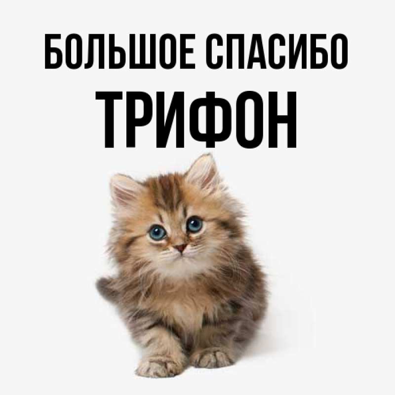 Картинка Большое спасибо, Трифон