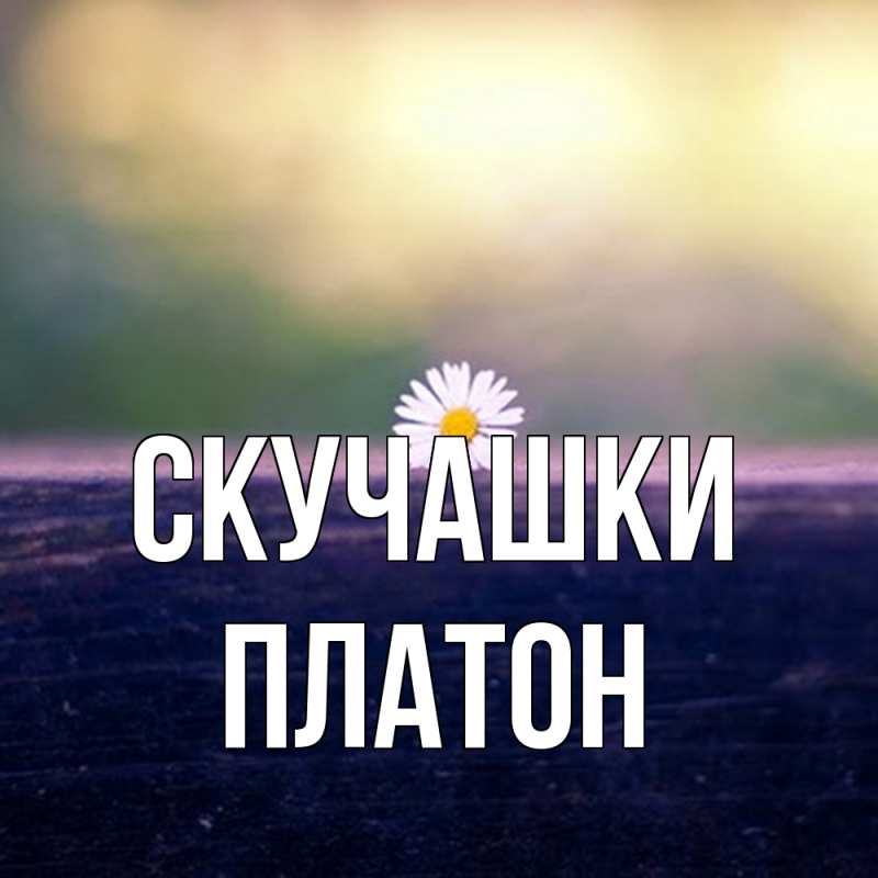 Открытка с именем, Платон, Скучашки