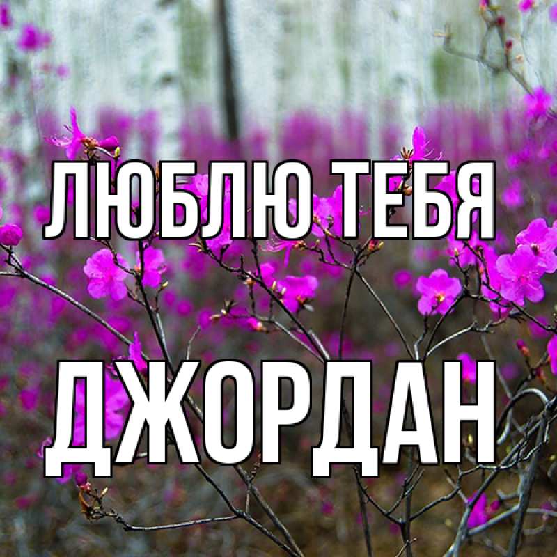 Открытка с именем, Джордан, Люблю тебя