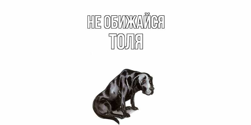 Картинка Не обижайся, Толя