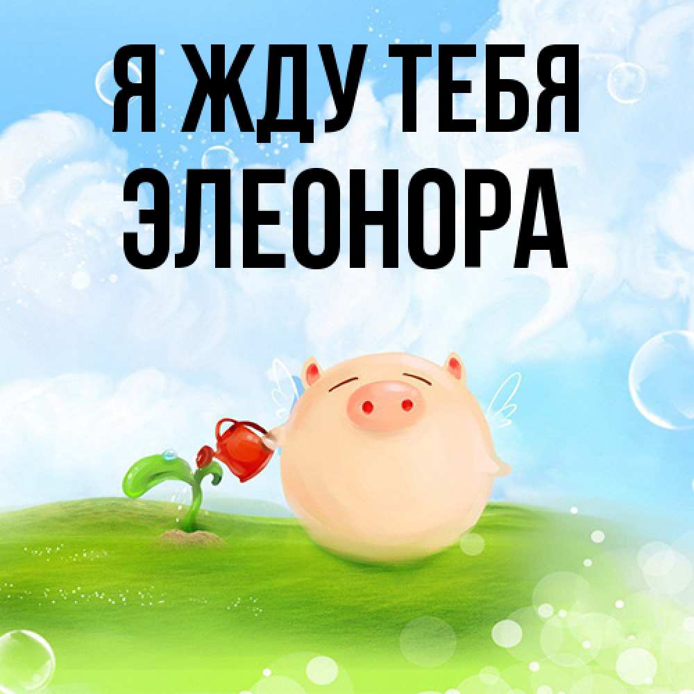 Открытка на каждый день с именем, Элеонора Я жду тебя позитивная свинюшка Прикольная открытка с пожеланием онлайн скачать бесплатно 