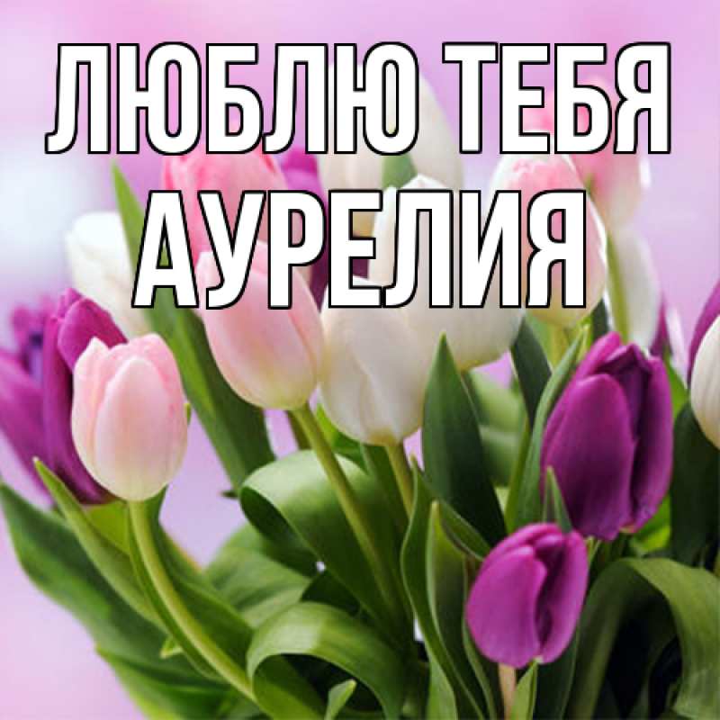 Картинка Люблю тебя, Аурелия