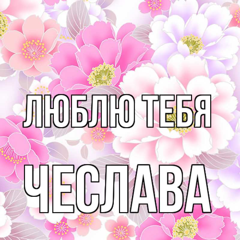 Картинка Люблю тебя, Чеслава