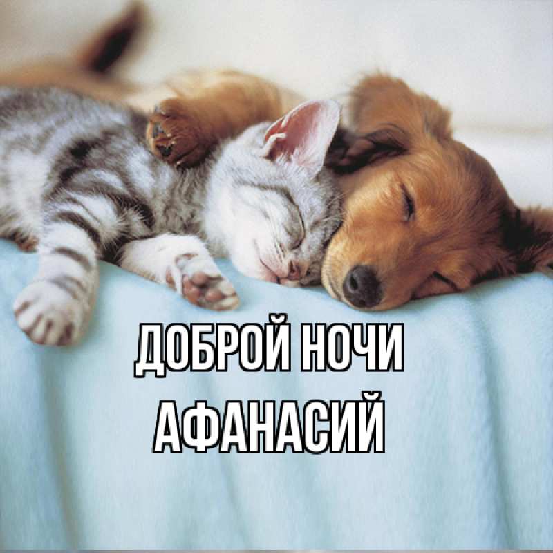 Картинка Доброй ночи, Афанасий