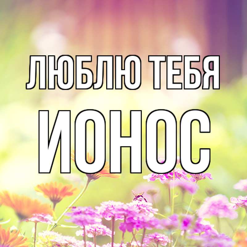 Картинка Люблю тебя, Ионос