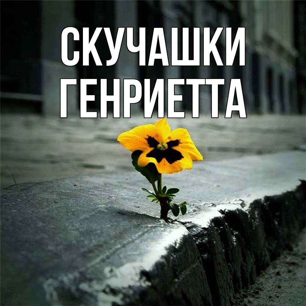 Открытка на каждый день с именем, Генриетта Скучашки надеюсь будет лучше Прикольная открытка с пожеланием онлайн скачать бесплатно 