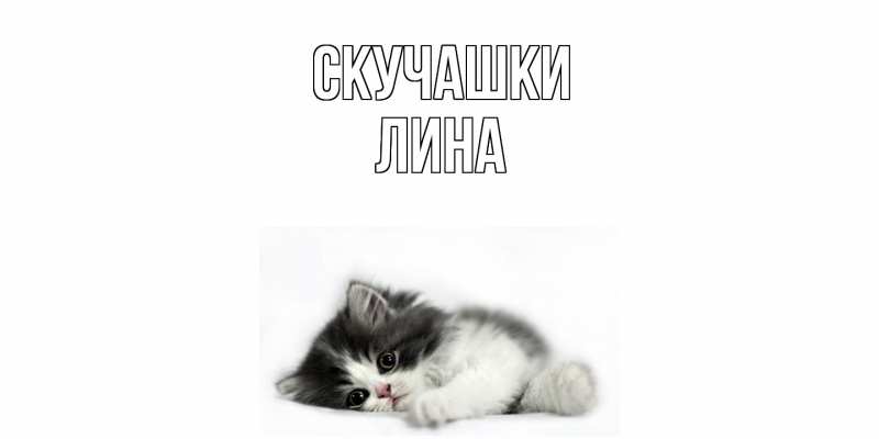 Открытка с именем, Лина, Скучашки