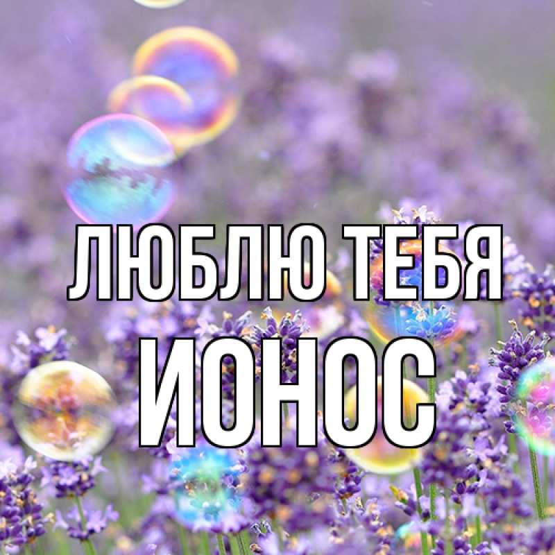 Картинка Люблю тебя, Ионос