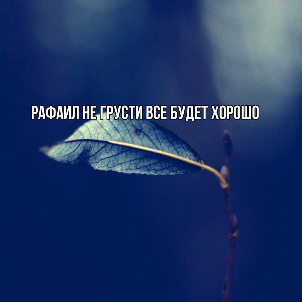 Открытка на каждый день с именем, Рафаил Не грусти все будет хорошо растение Прикольная открытка с пожеланием онлайн скачать бесплатно 