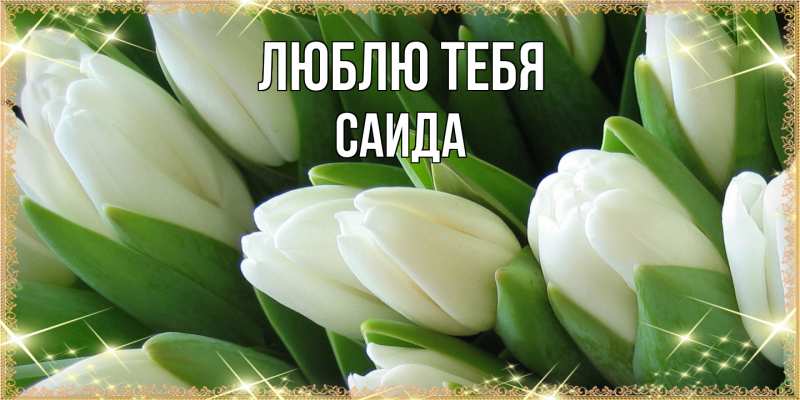 Картинка Люблю тебя, Саида
