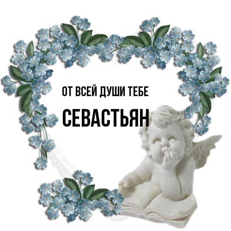 Картинка От всей души тебе, Севастьян