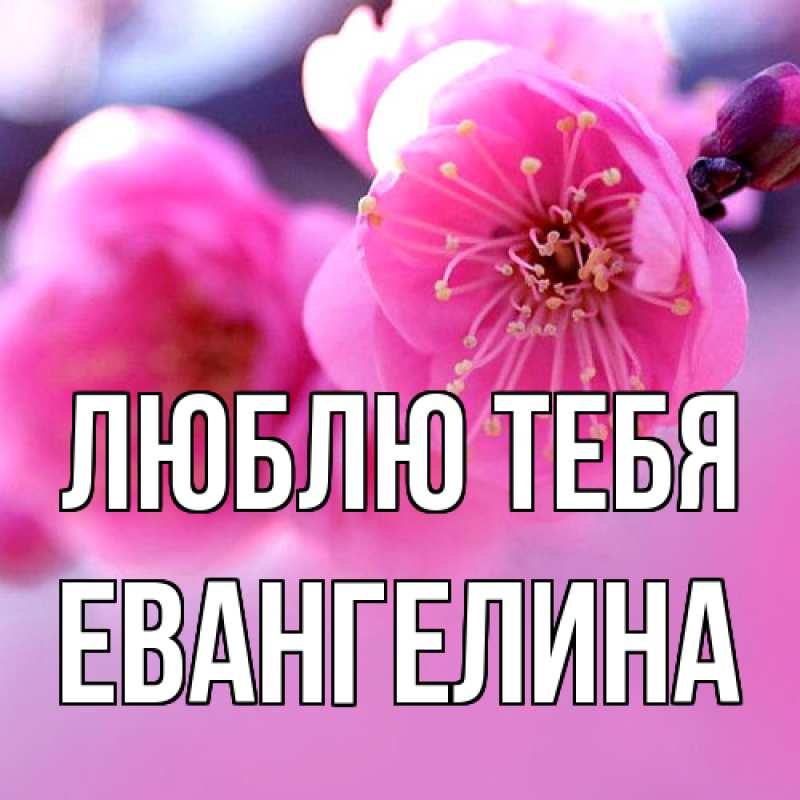 Открытка с именем, Евангелина, Люблю тебя