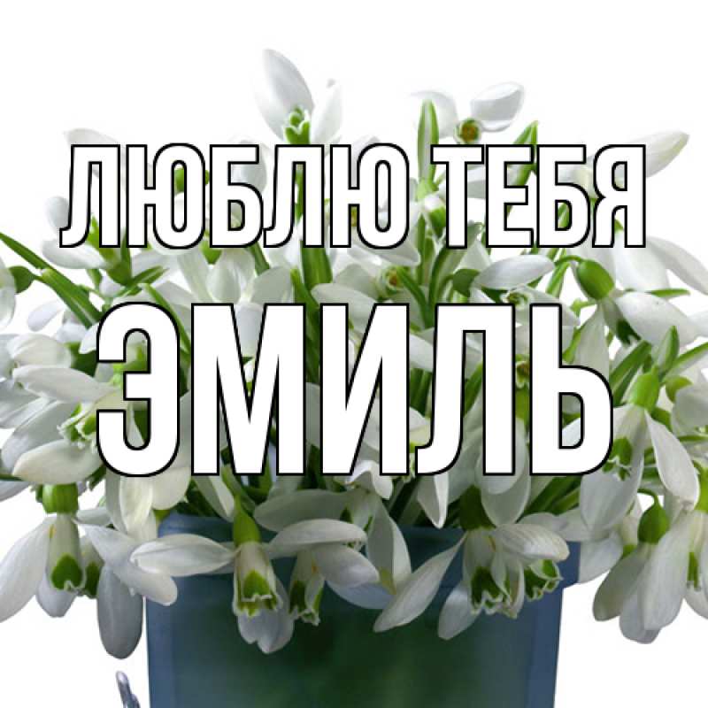 Картинка Люблю тебя, Эмиль