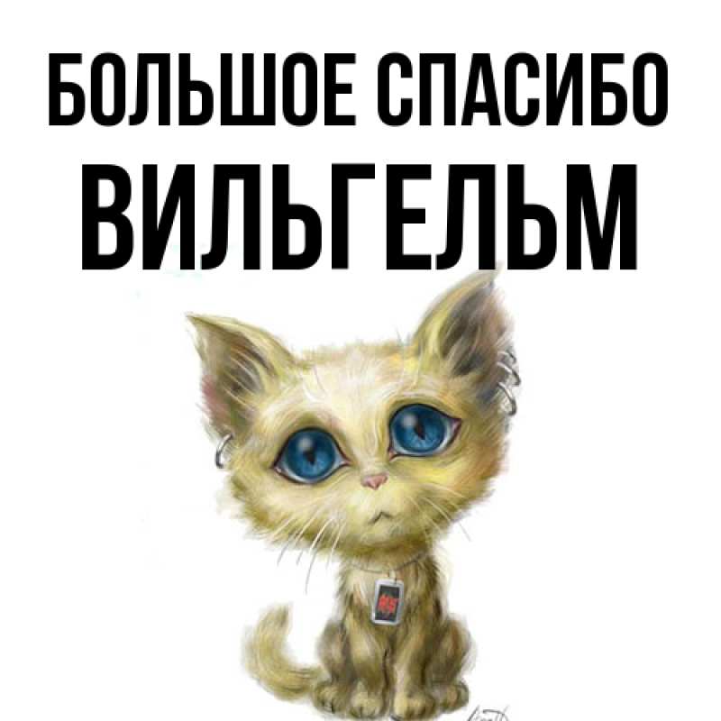 Картинка Большое спасибо, Вильгельм