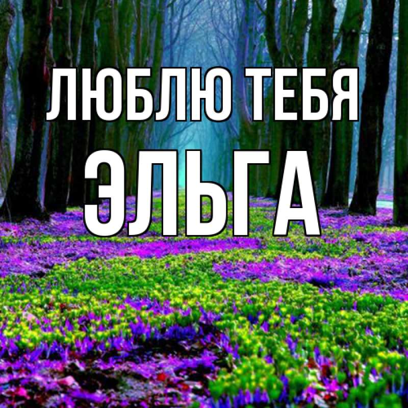 Картинка Люблю тебя, Эльга