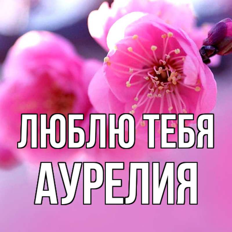 Картинка Люблю тебя, Аурелия