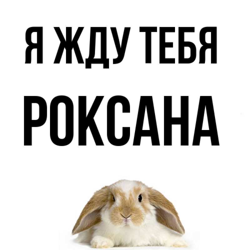 Картинка Я жду тебя, Роксана