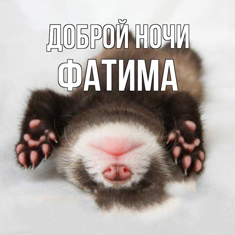 Открытка с именем, Фатима, Доброй ночи