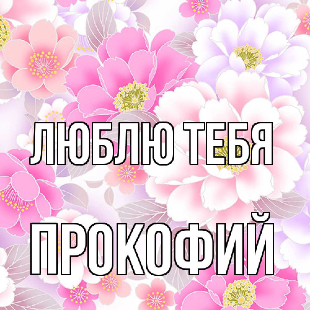 Открытка на каждый день с именем, Прокофий Люблю тебя для женщин Прикольная открытка с пожеланием онлайн скачать бесплатно 