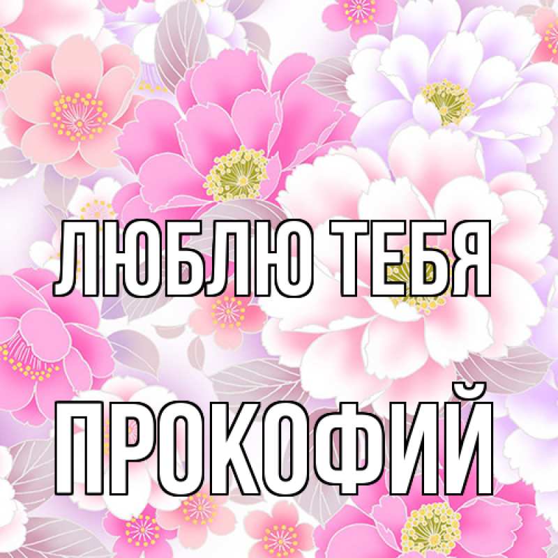 Картинка Люблю тебя, Прокофий