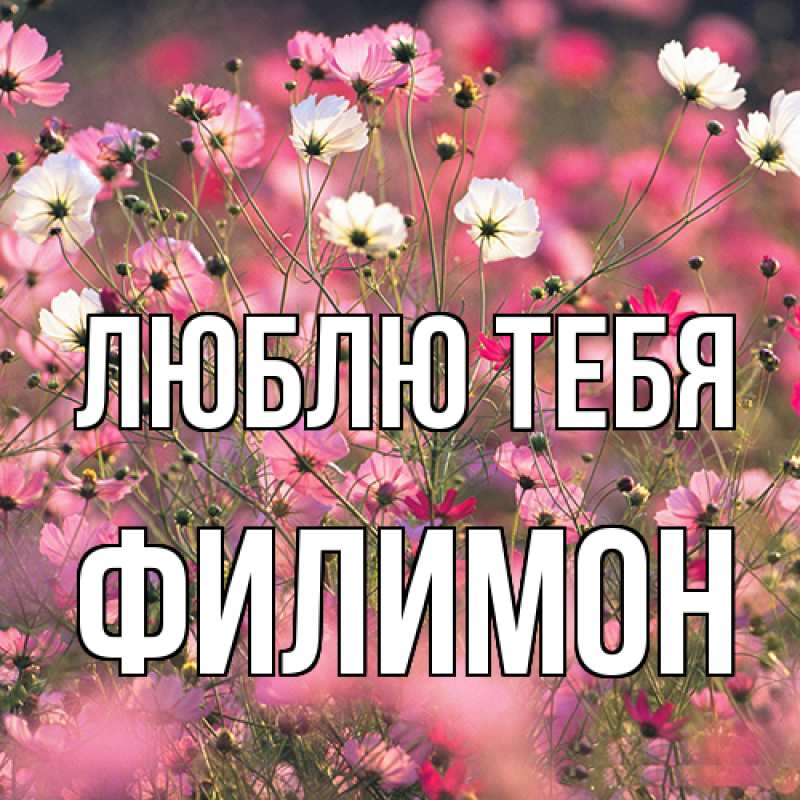 Картинка Люблю тебя, Филимон