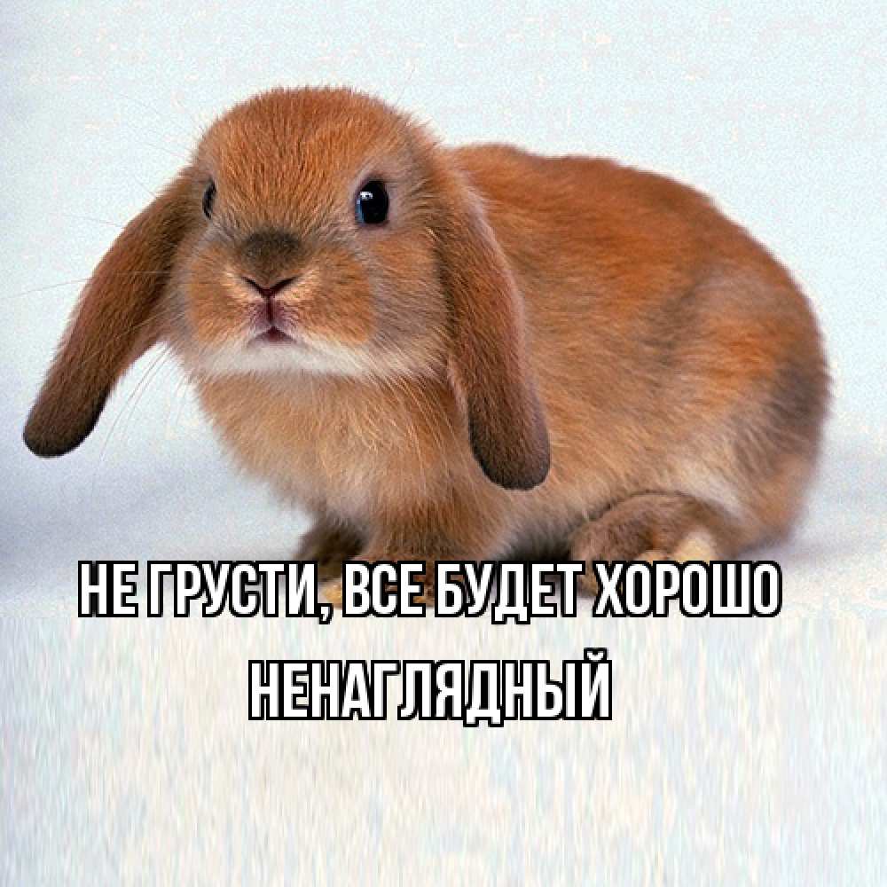 Открытка на каждый день с именем, Ненаглядный Не грусти все будет хорошо вислоухий рыжий кролик Прикольная открытка с пожеланием онлайн скачать бесплатно 
