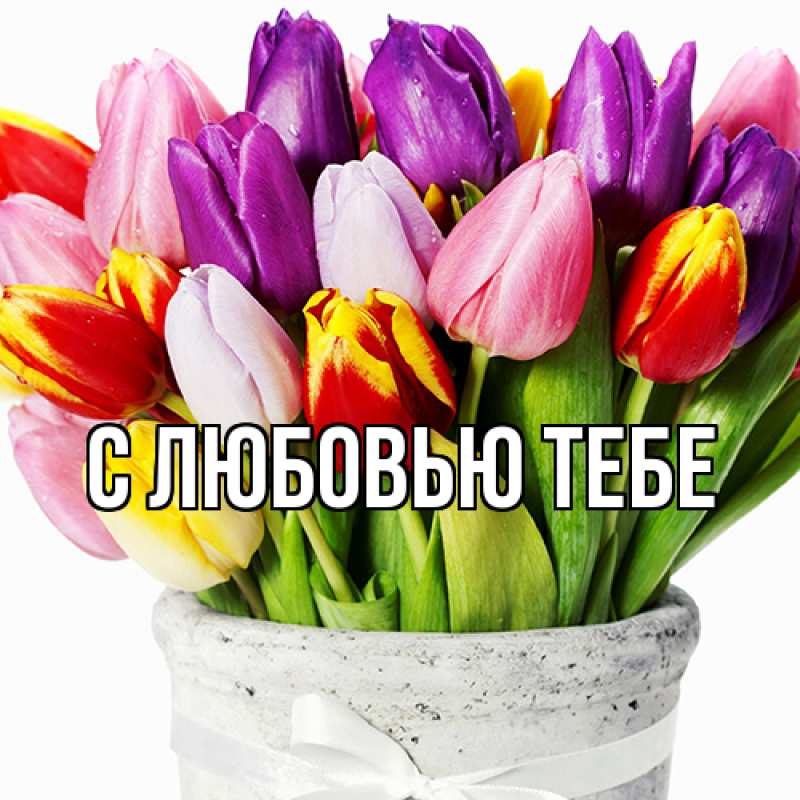 Картинка Люблю тебя, Ева