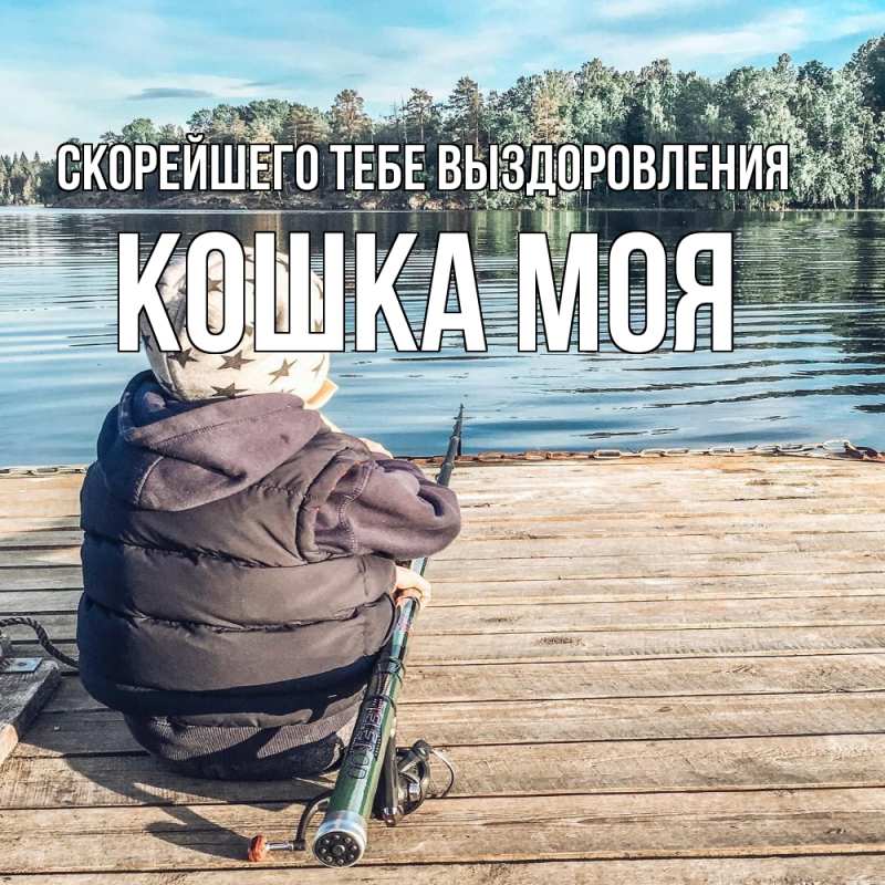 Открытка с именем, Кошка моя, Скорейшего тебе выздоровления